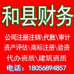 ​郑蒲港财务公司专业代理记账报税注册公司资质办理商标注册验资注销变更